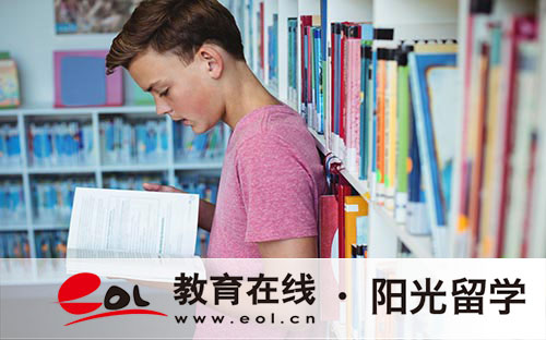 4+0中外合作辦學(xué)