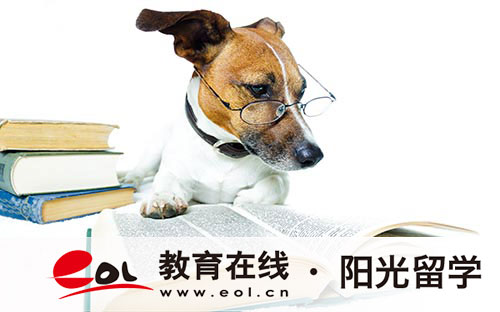 林肯大學(xué)在哪里