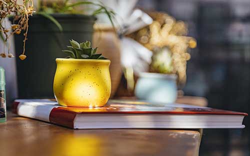 新加坡藝術(shù)類大學研究生申請要求