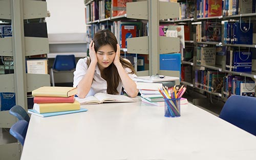 廣東廣州市有國際本科的學(xué)校嗎，去讀怎么樣