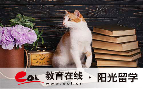 日本高中留學(xué)要求